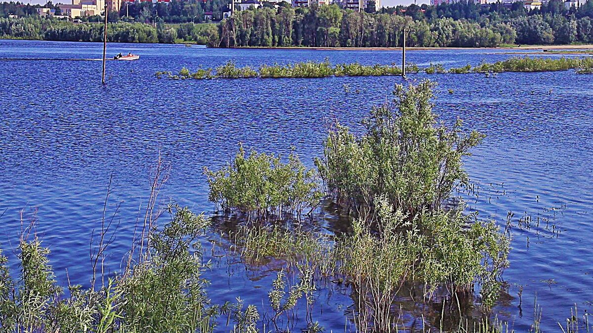 Отмели и  косы на реке! - Владимир 