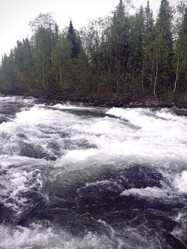 Шумит река Алтая - Георгиевич 