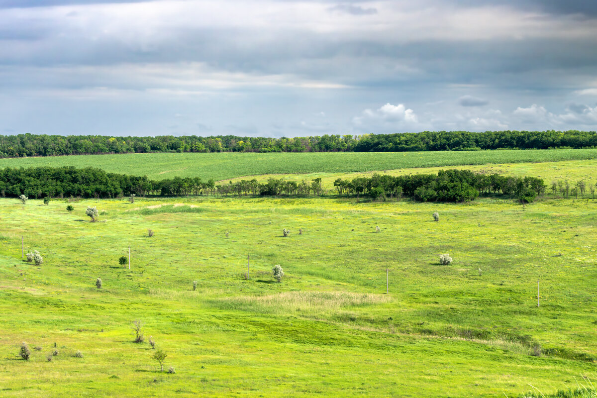Окрестности - Игорь Сикорский