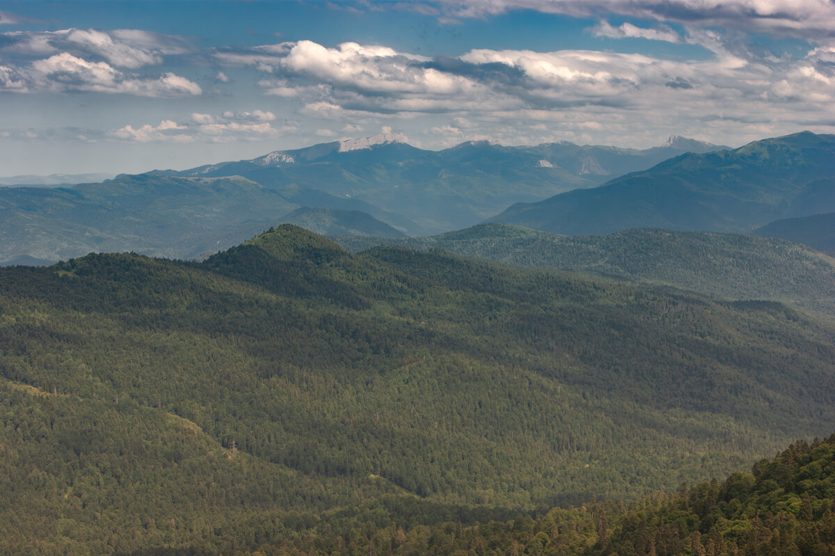 Адыгея - Игорь Сикорский