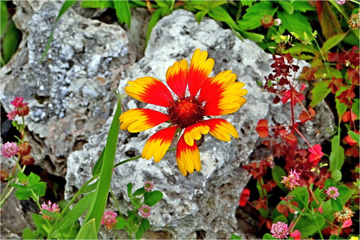 ЛЕТО - Юрий Владимирович 34