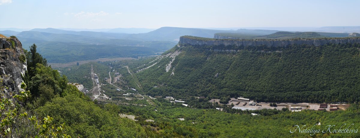 Природа Крыма - Amazing Cosmea