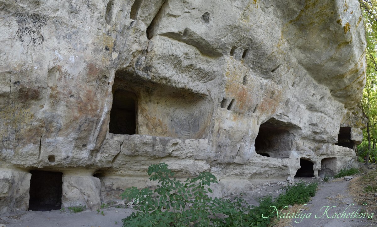 Природа Крыма - Amazing Cosmea