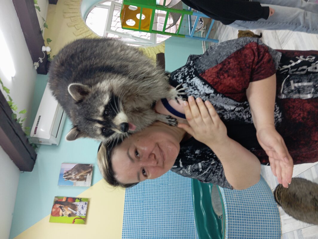 Еноты ❤ - Юлия Чертищева /