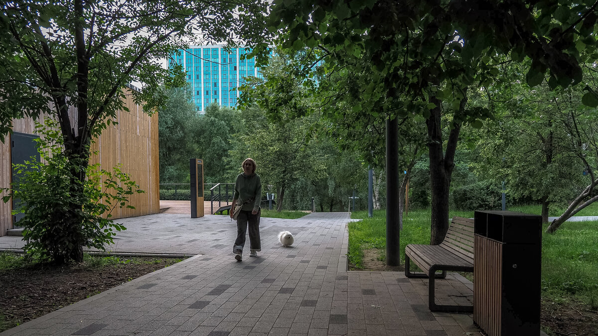 ***** - юрий поляков