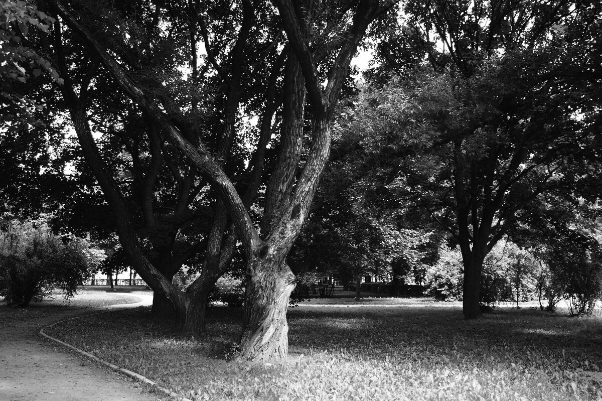 /// - Виктор Никитенко