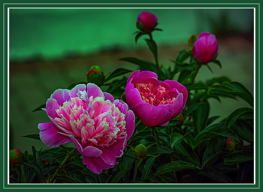 Фотозарисовка - Владимир Кроливец