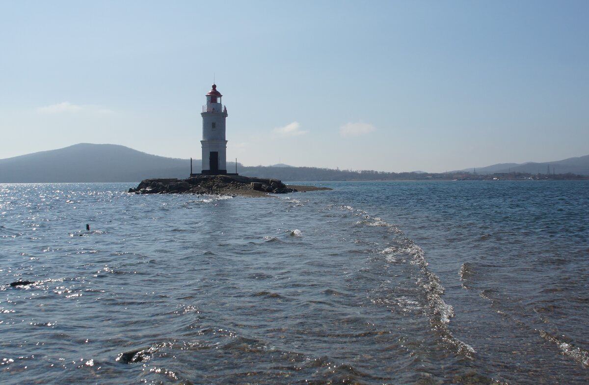 Токаревская кошка - Наталья Т