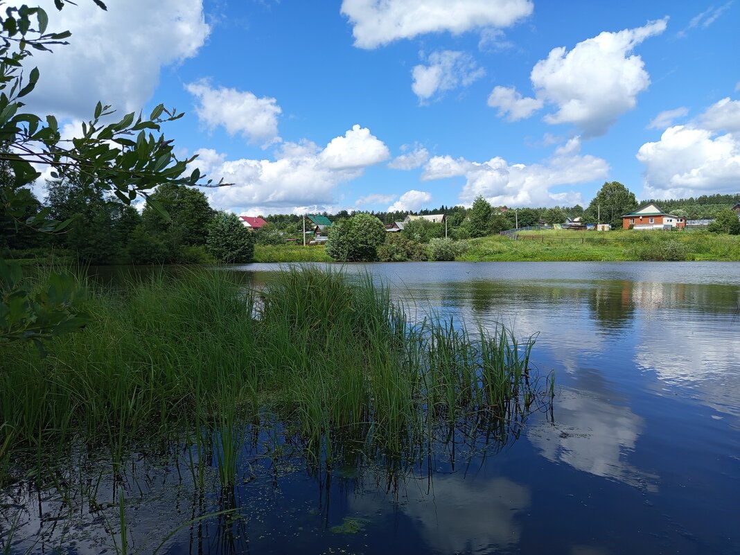 Пруд,лето... - Алена 