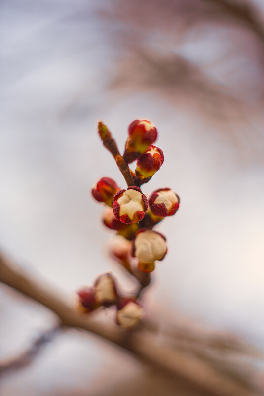 *** - Яна Горбунова