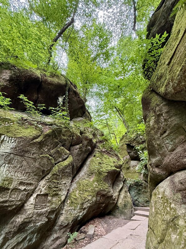здесь были... - Сергей Б. здесь были... - Сергей Б.