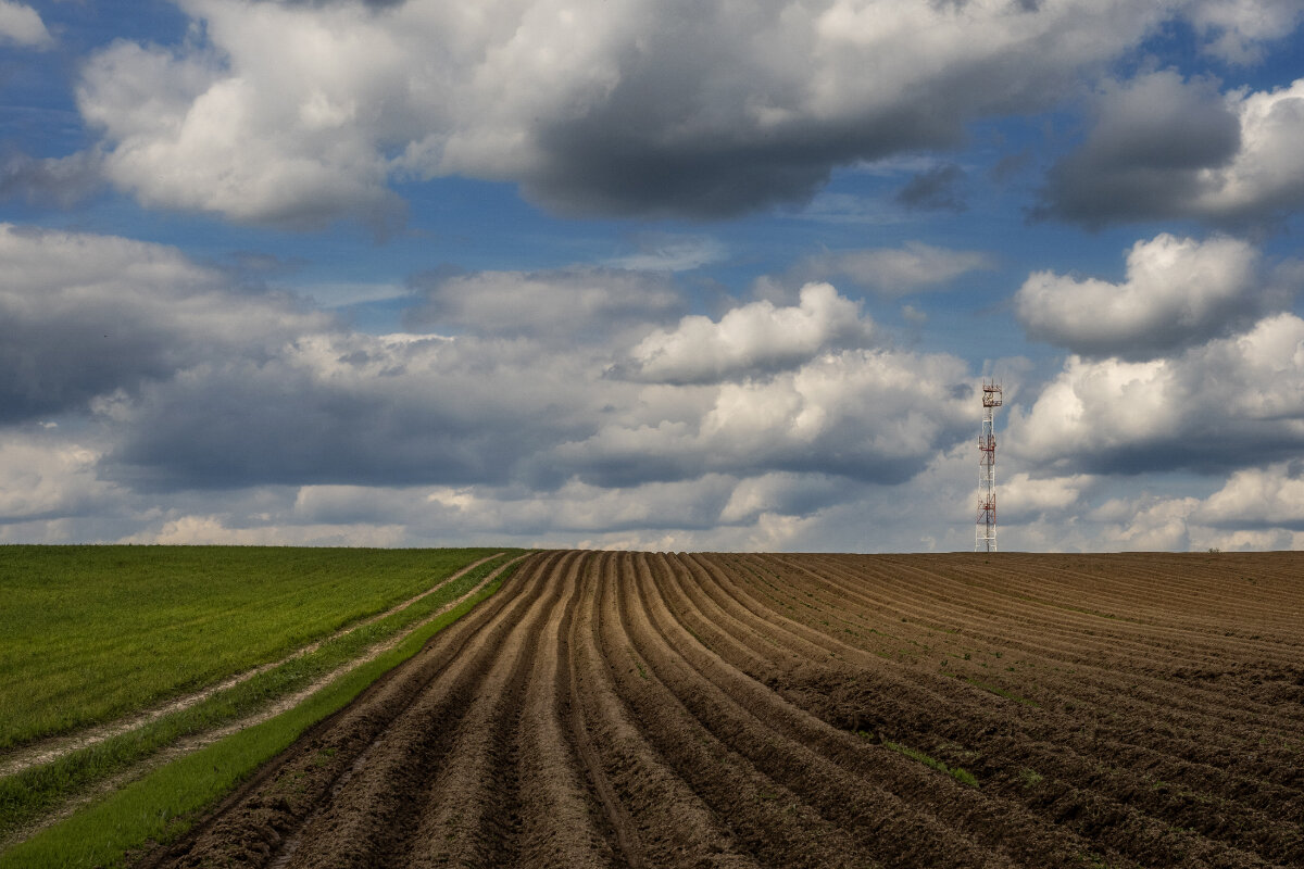 Распахано - Владимир 