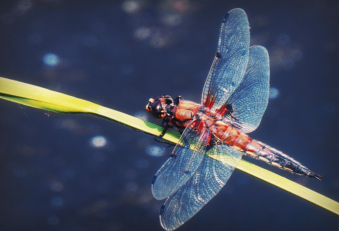 Передышка... - Владимир Шошин