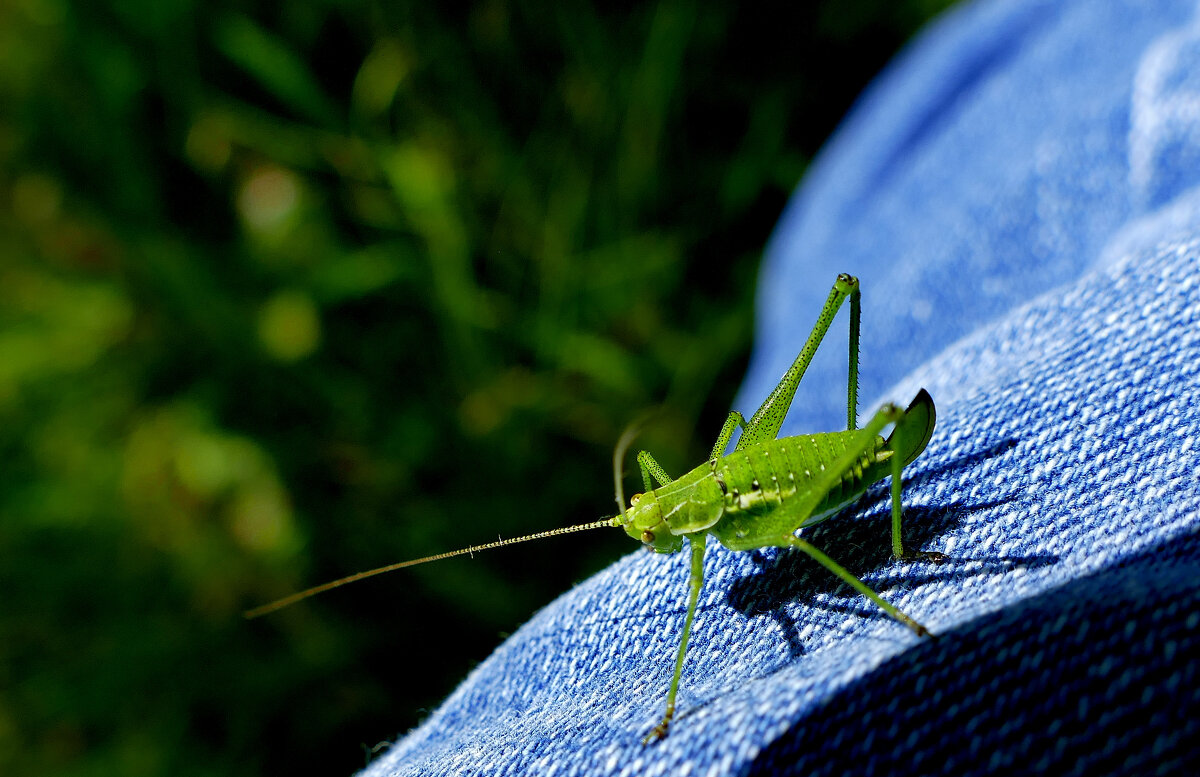 в последний день июня 2 - Александр Прокудин в последний день июня 2 - Александр Прокудин