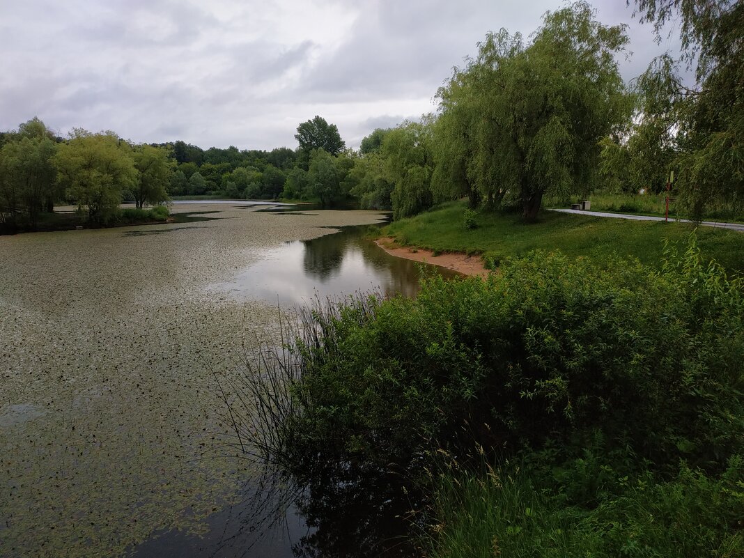 Июнь уж отступил. Он был таким. Июни не выбирают :-) - Андрей Лукьянов