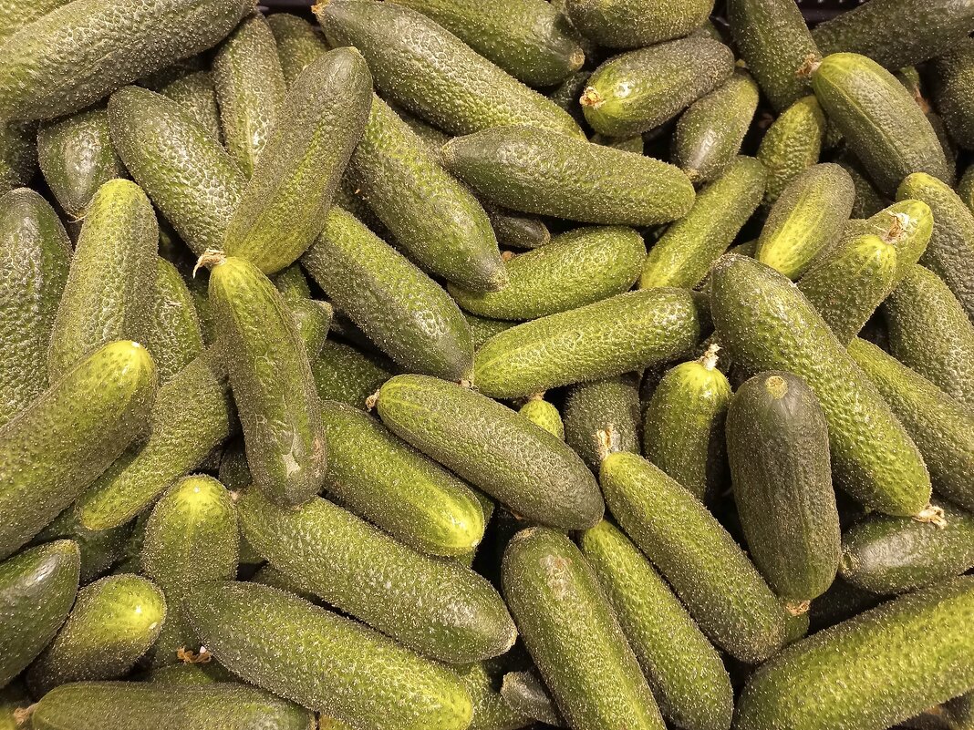 Луховицкие - Валерий Иванович Луховицкие - Валерий Иванович