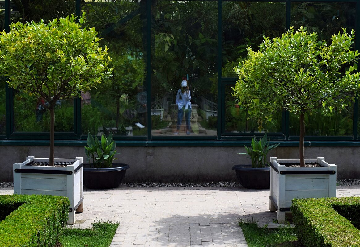 Встречаем ИЮЛЬ! - Татьяна Помогалова Встречаем ИЮЛЬ! - Татьяна Помогалова