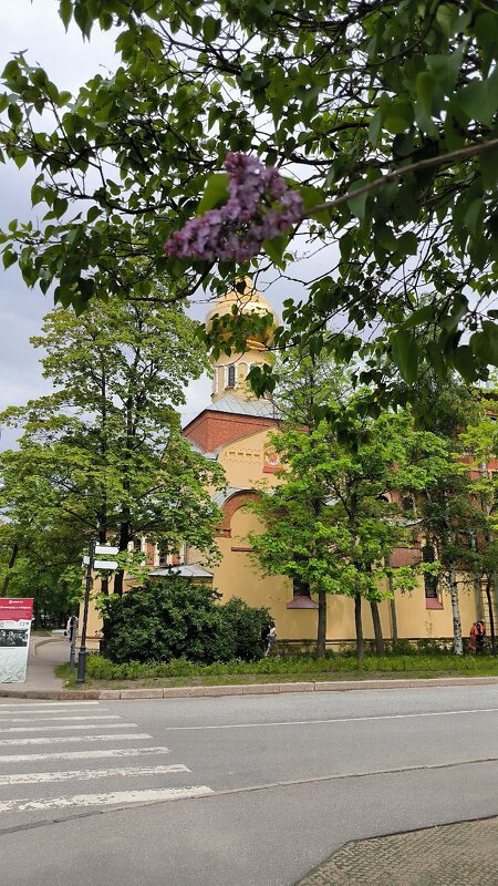 Июнь не оправдал звание летнего месяца! - Ольга 