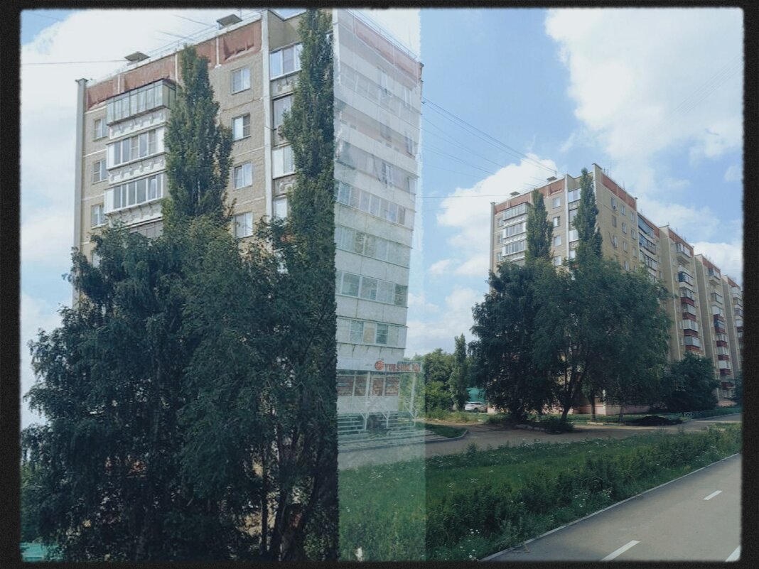 Окна с воротами из деревьев. - Игорь Солдаткин