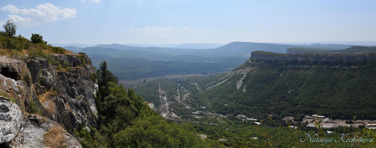 Природа Крыма - Amazing Cosmea