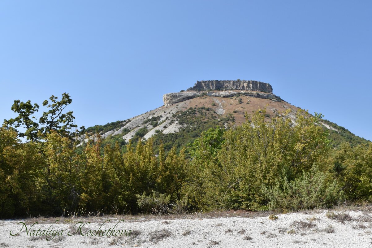 Природа Крыма - Amazing Cosmea