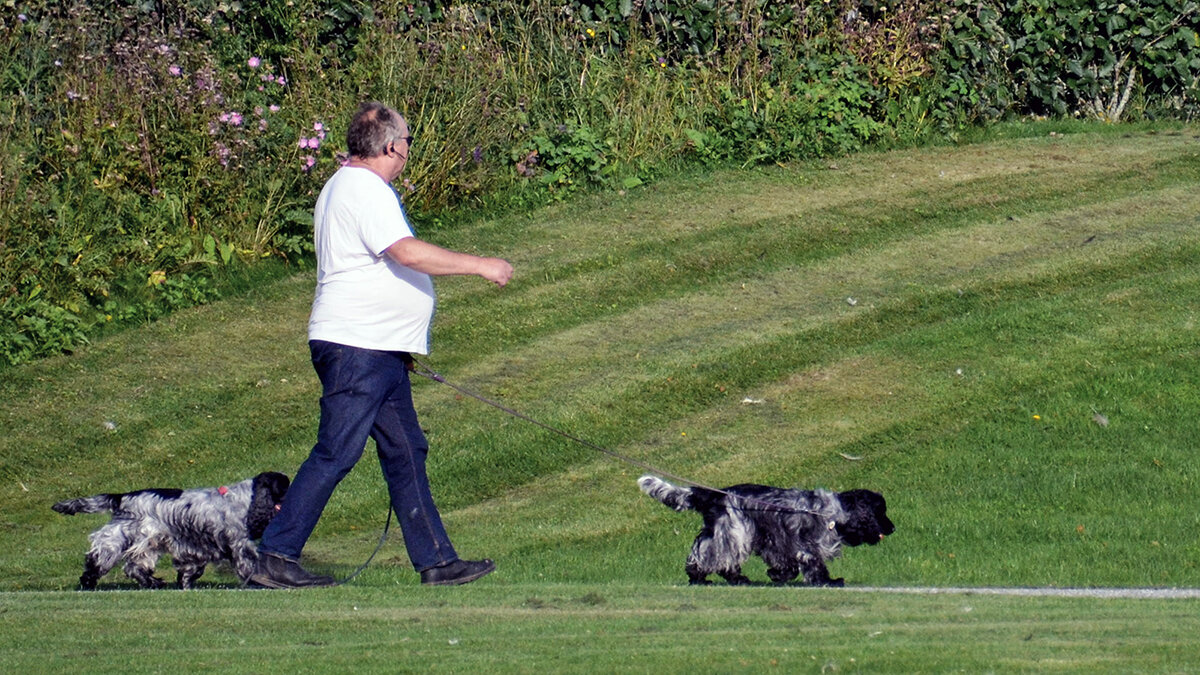 По привычному маршруту - Alexandеr P