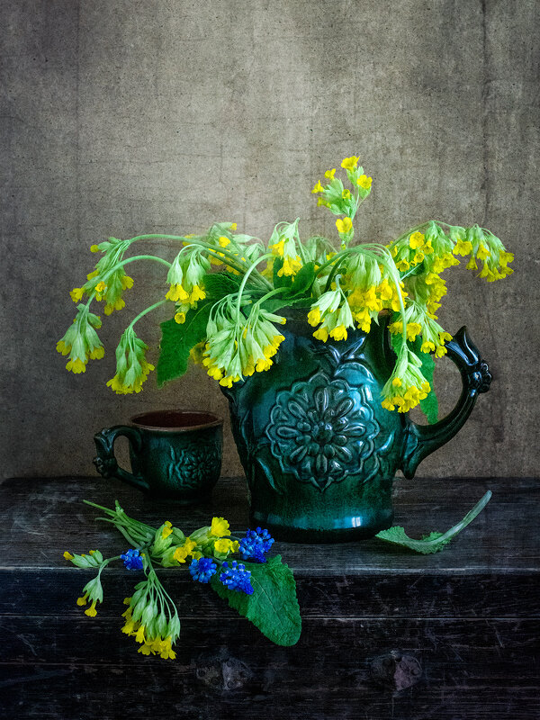 Примула - Лидия Суюрова