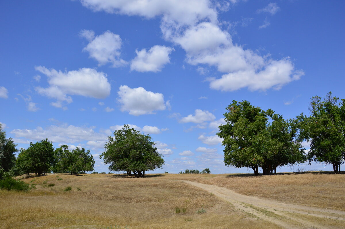 Мои дороги. - Виктор 
