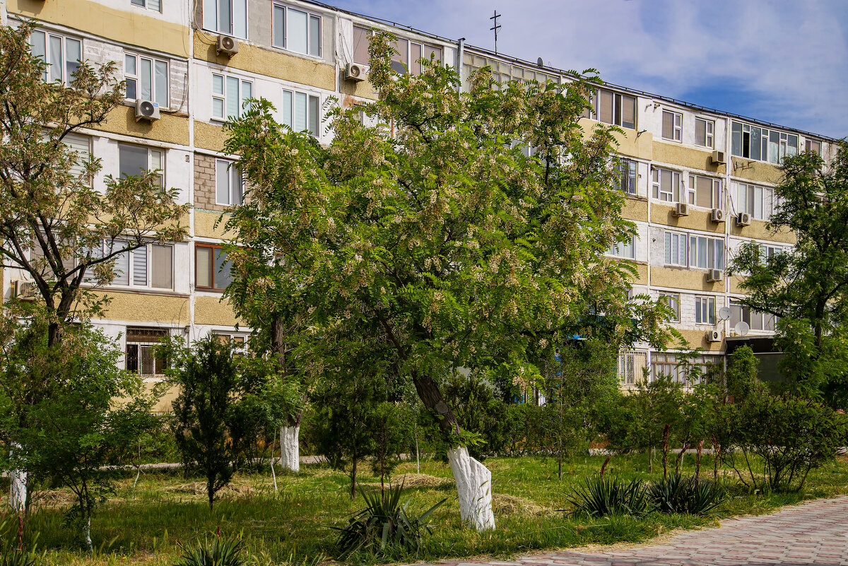 Акация - Анатолий Чикчирный Акация - Анатолий Чикчирный