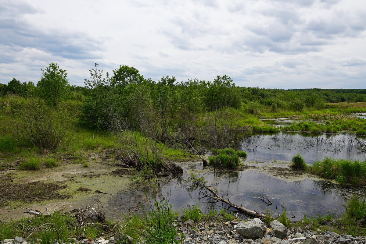 *** - Николай Гирш