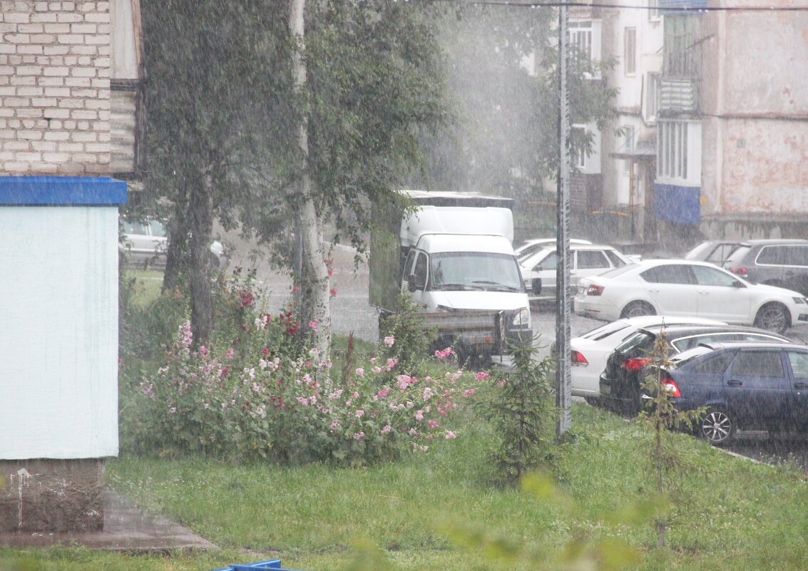 Лето. - Венера Чуйкова