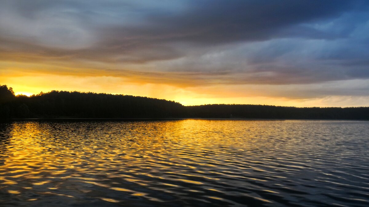 Полоса по лесам золотая легла - Hope 