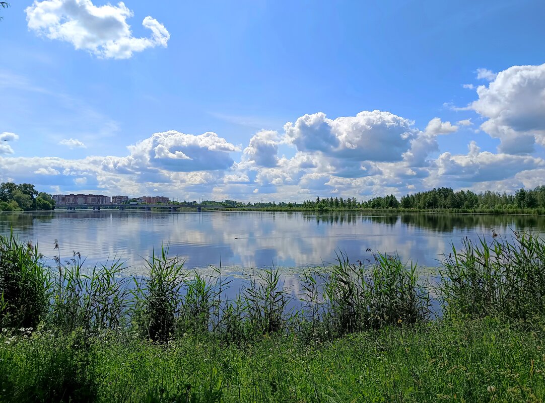 Уплывающий в облаках июнь... - Мария Васильева