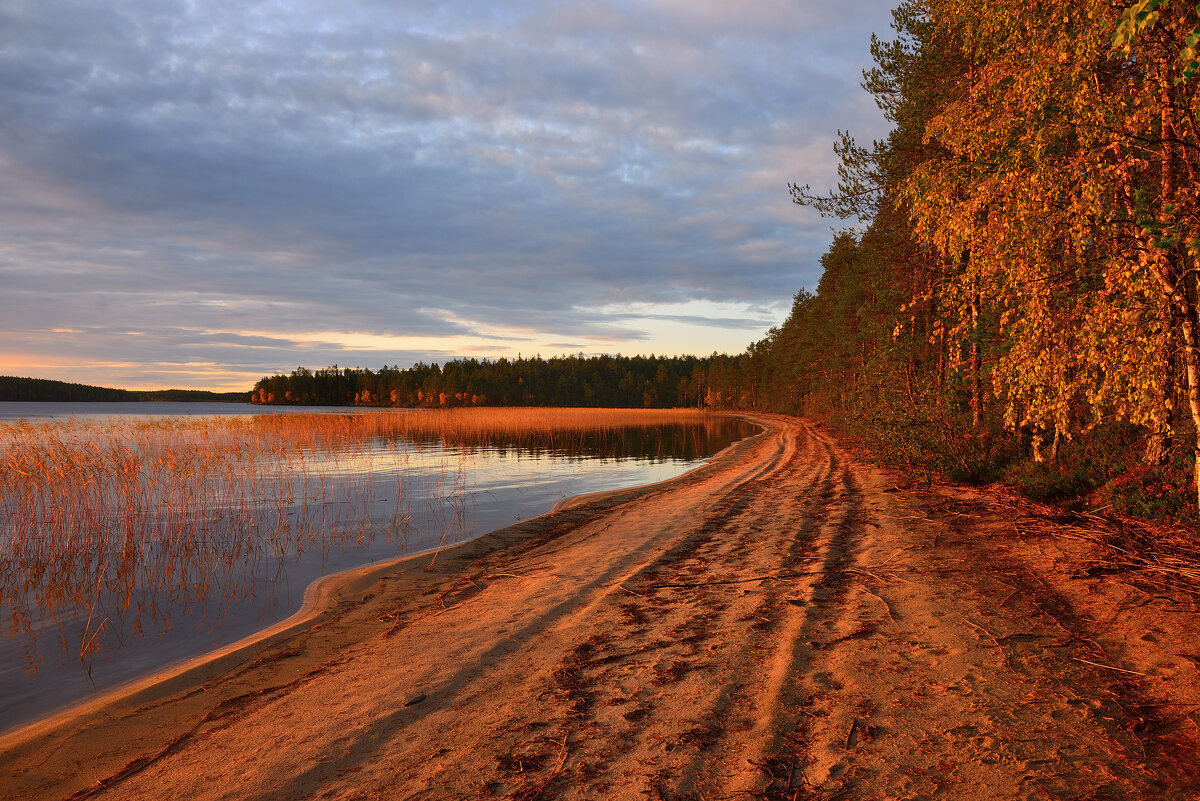 Золотой берег - Александр Хаецкий