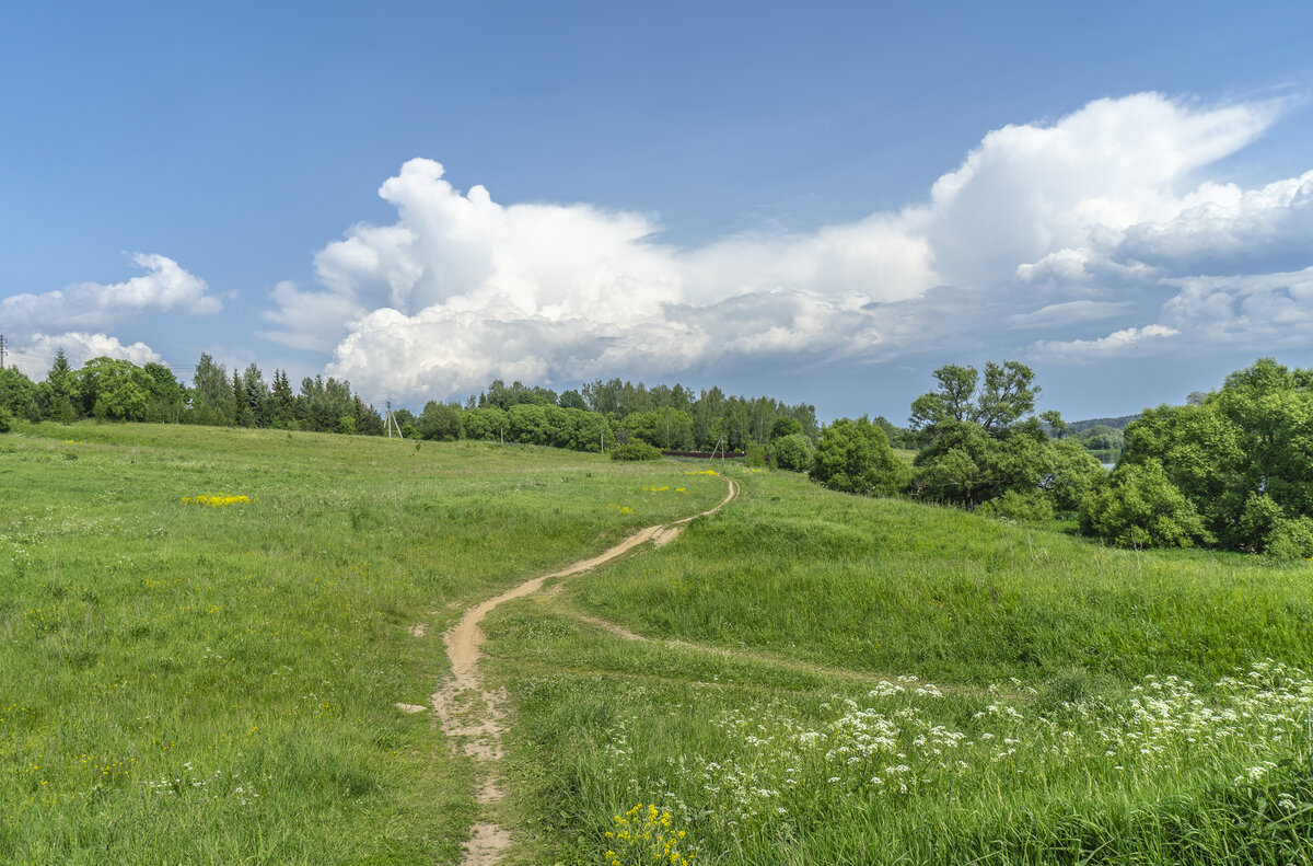 Тропина - Владимир Езеров 