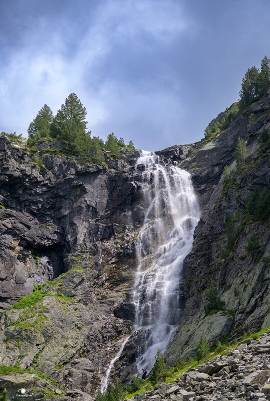 Свежест - Кръстьо Шилев