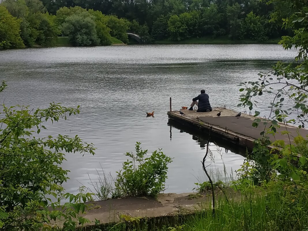 Июль уж наступил! - Андрей Лукьянов