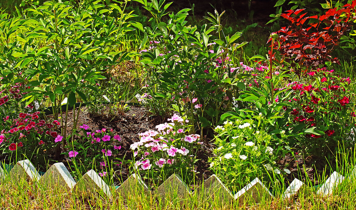 Июнь...Цветник у Храма Всех Святых! - Владимир 