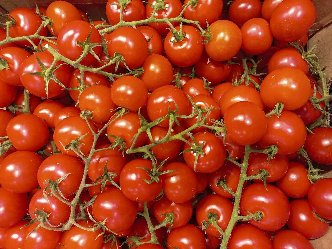 Черри - Валерий Иванович Черри - Валерий Иванович