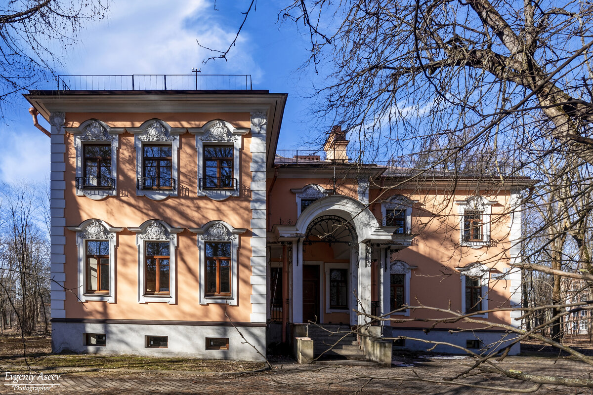 Дача Ланских - Евгений 