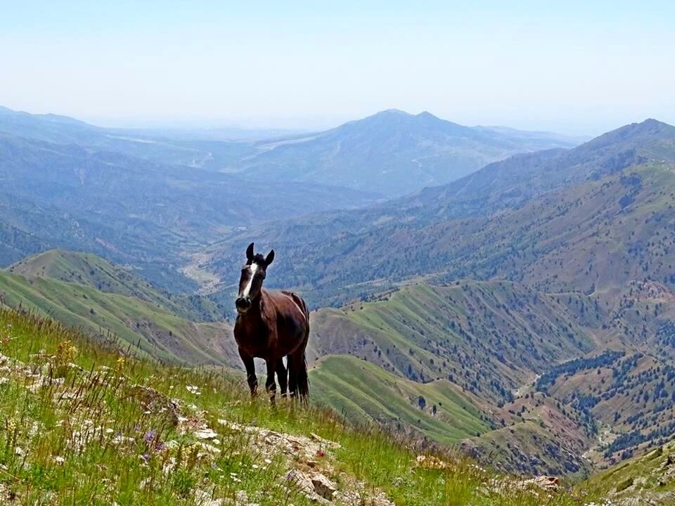 ПО ГОРАМ. - Виктор Осипчук ПО ГОРАМ. - Виктор Осипчук