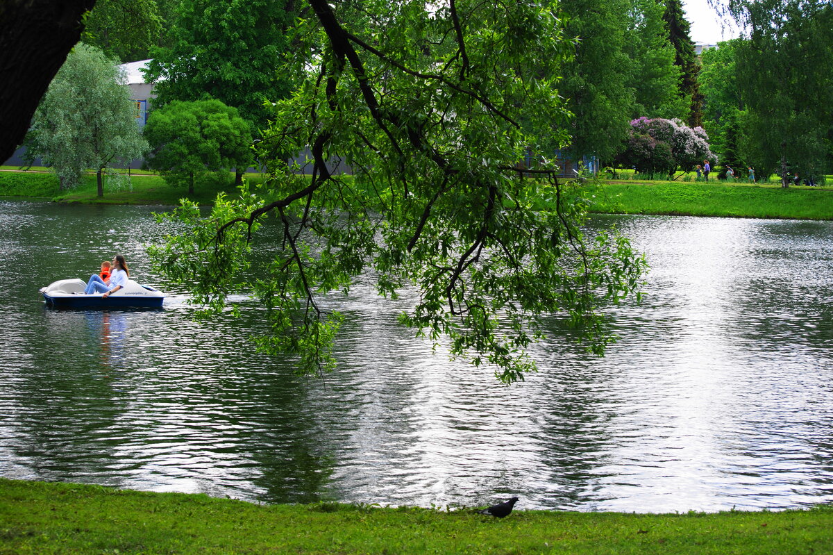 ПРУД - Виктор Никитенко