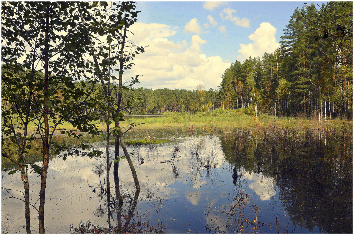 Зотопило - Aleksandr Gal