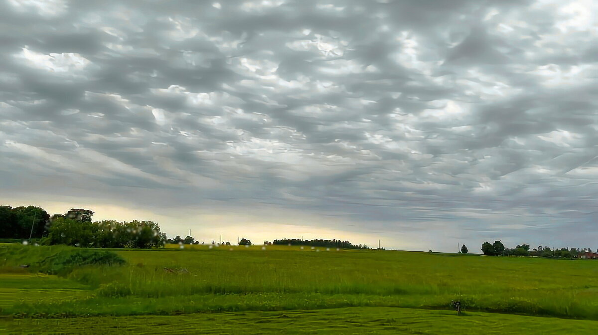 Starp Jāņiem un Pēteriem - Arturs Ancans