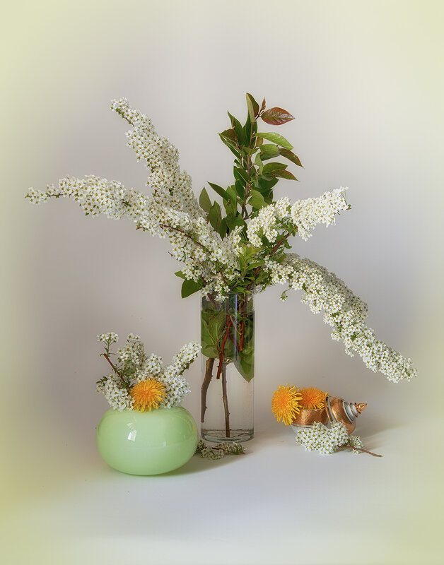 Натюрморт со спиреей. - Лилия *