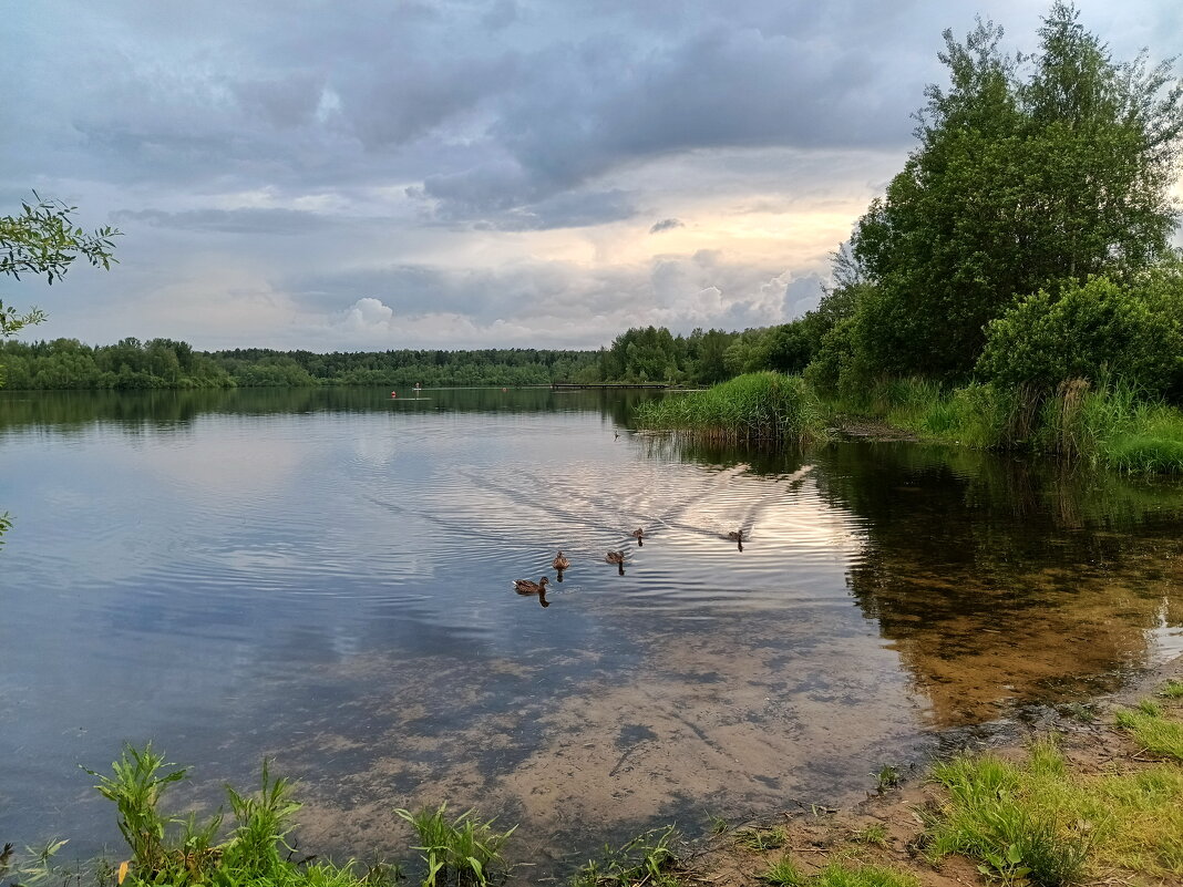 Летний вечер на лзере - Леонид Иванчук