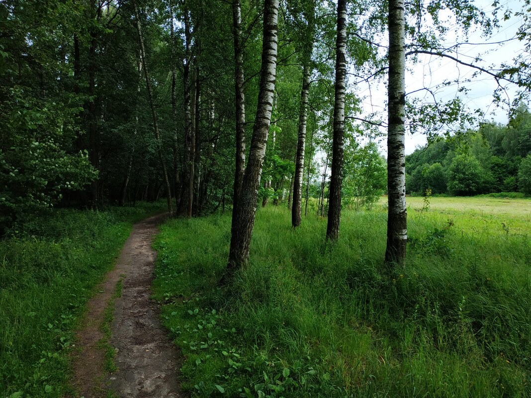Июль наступил. Осталось дождаться наступления лета - Андрей Лукьянов
