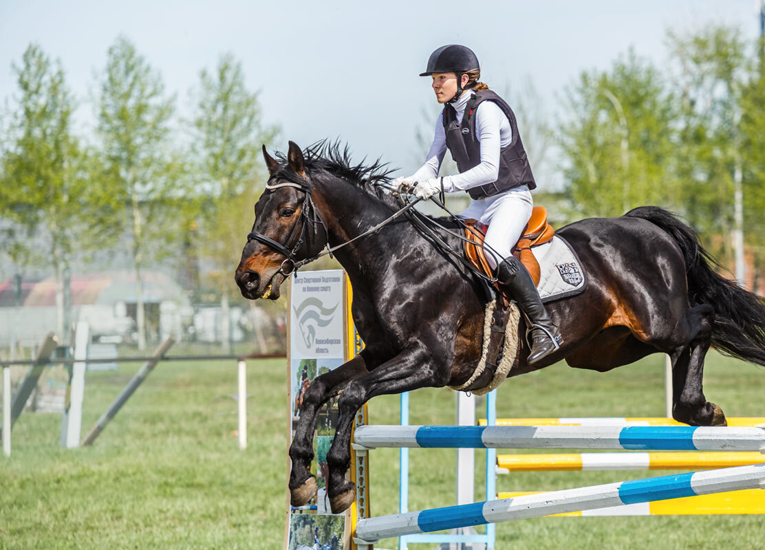 Конкур - SanSan 