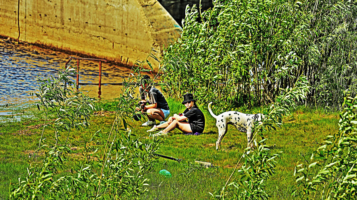 Июль...Ребята собакой у речной пристани! - Владимир 