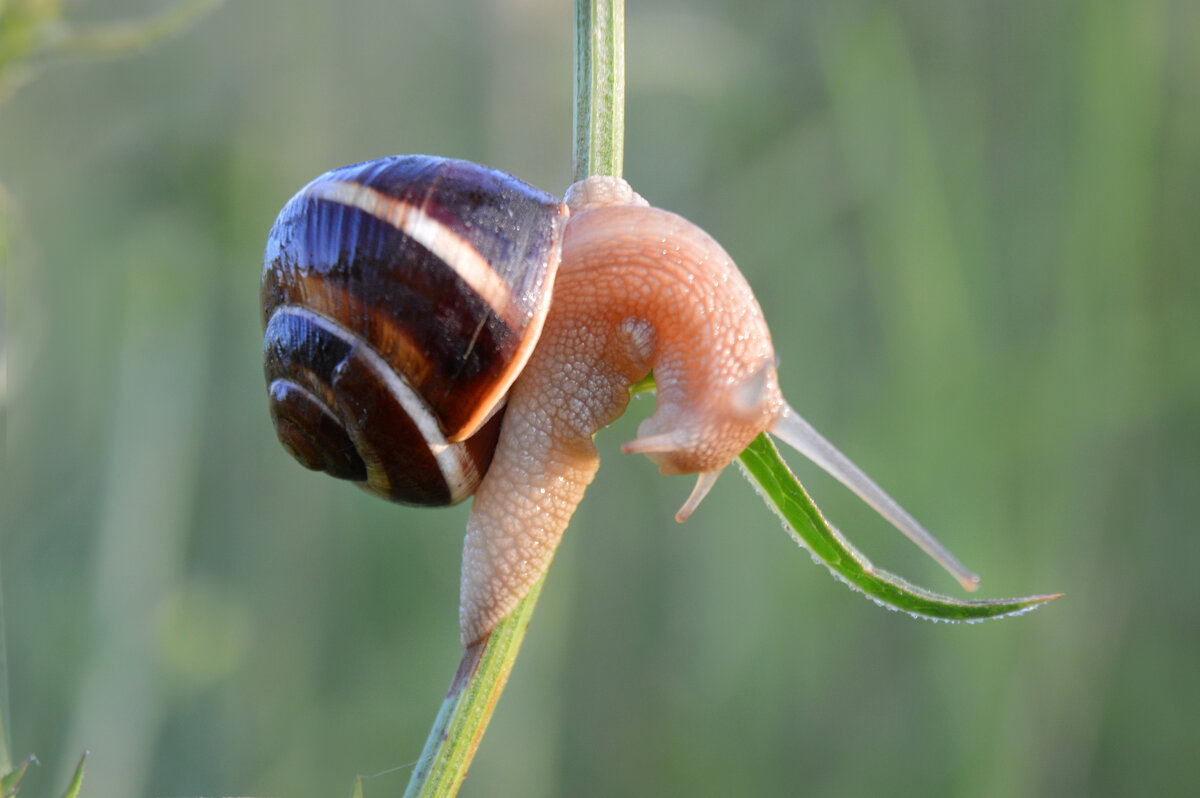 " Пол - дэнс ..." - Надежда Куркина 